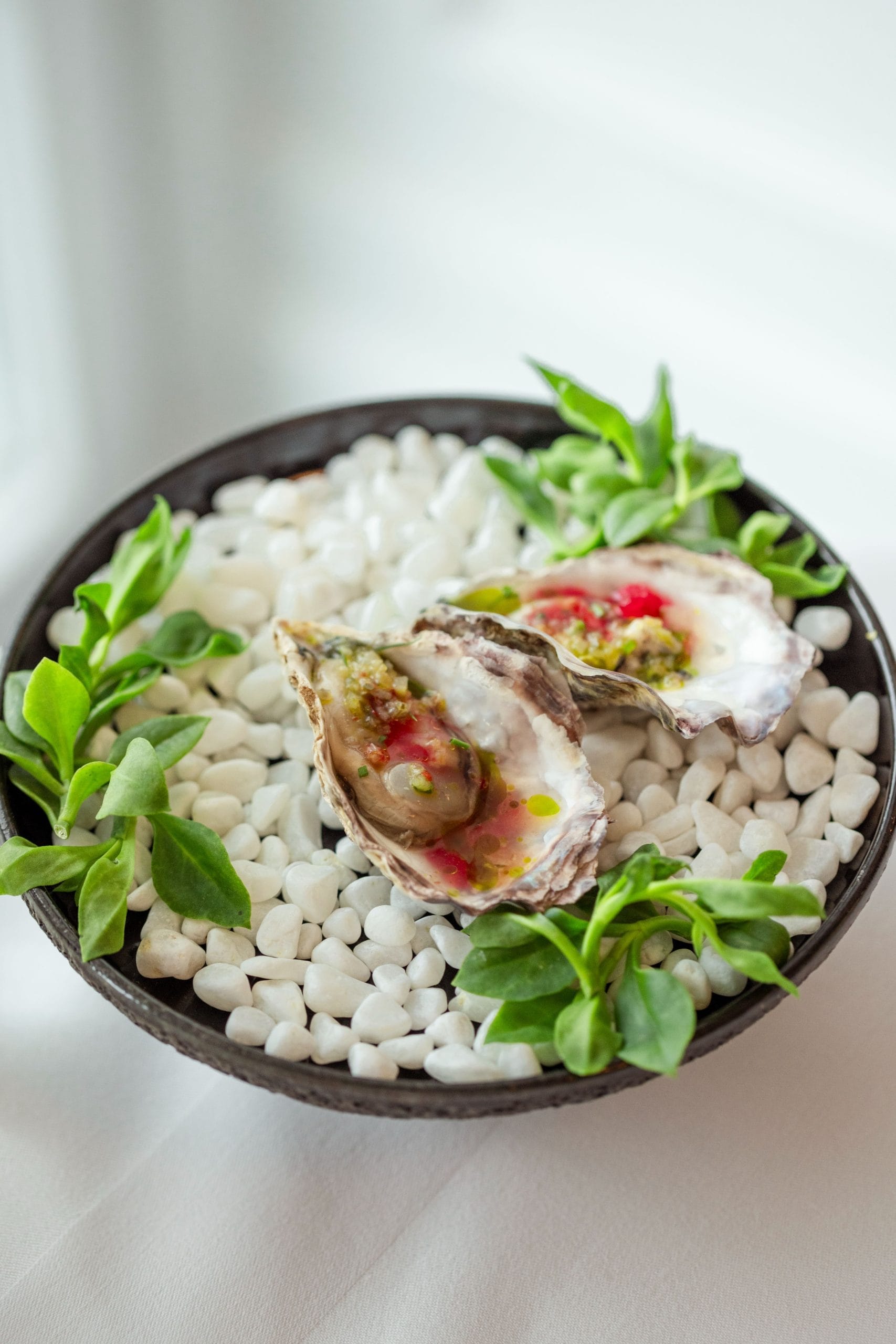 Two appetizers of oysters, presented elegantly