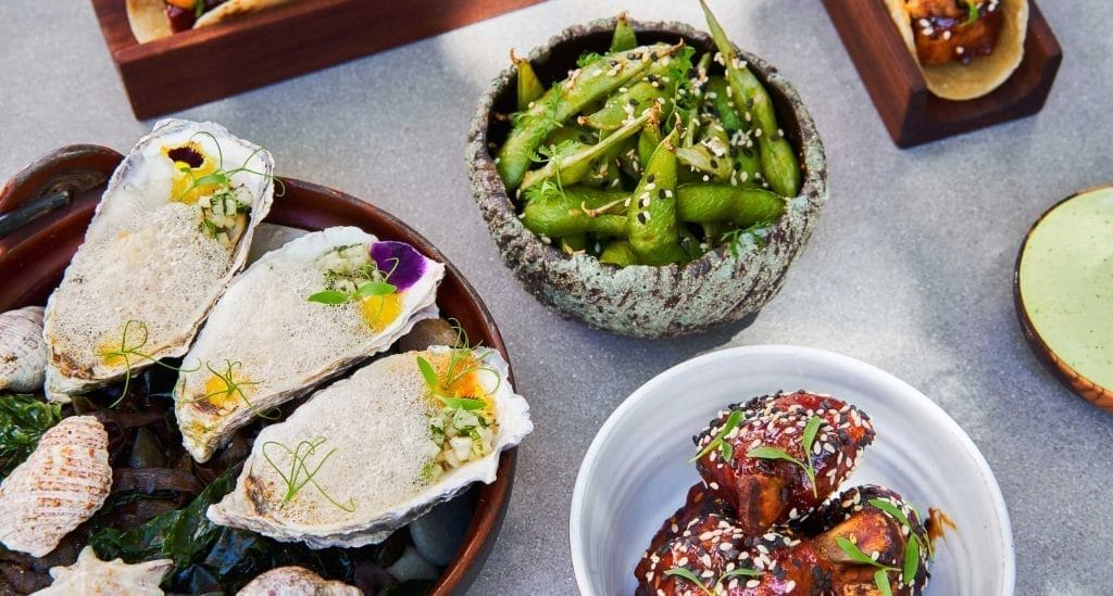 A selection of gourmet plates